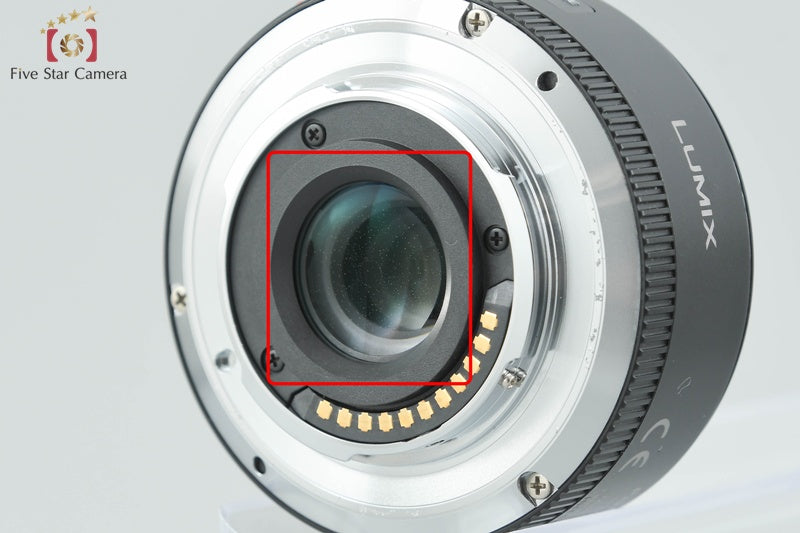 Panasonic LUMIX DMC-GF3X Electric Zoom Lens Kit Esprit (Japanese Language Only)