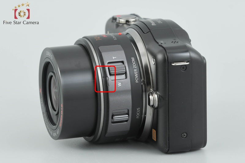Panasonic LUMIX DMC-GF3X Electric Zoom Lens Kit Esprit (Japanese Language Only)