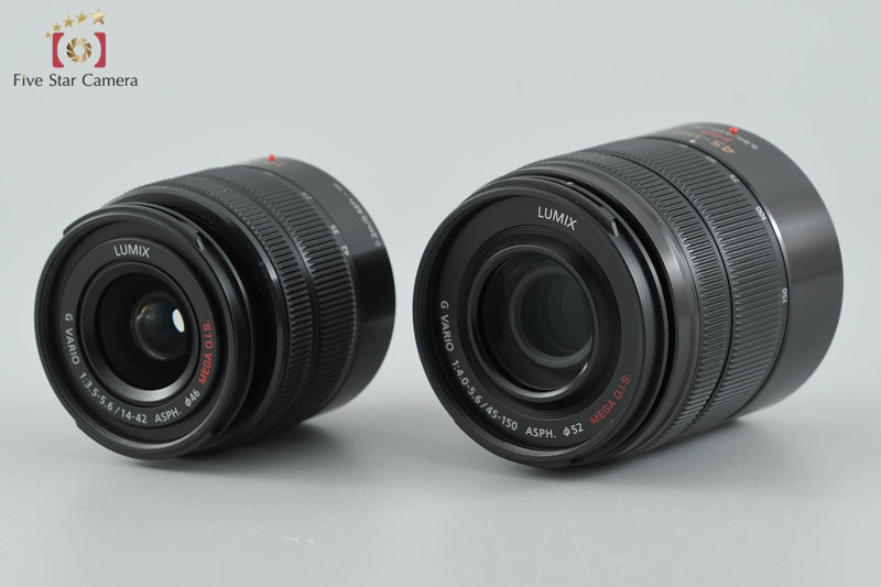 Panasonic LUMIX DMC-GF5 Double Zoom Lens Kit Esprit Black (Japanese Language Only)