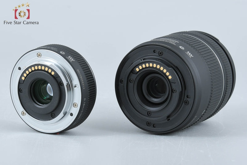 Panasonic LUMIX DMC-GF5 Double Lens Kit Esprit Black (Japanese Language Only)