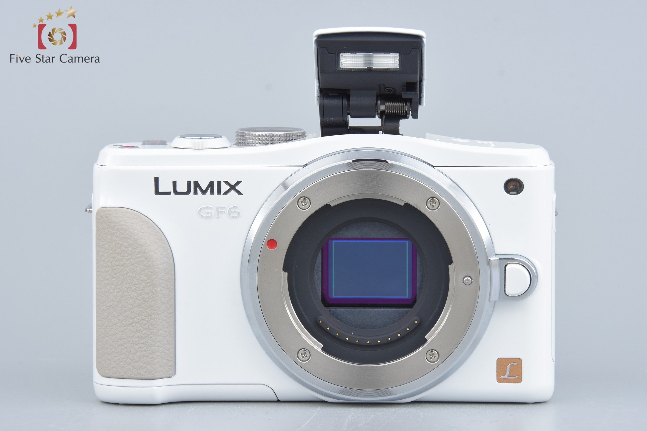 Panasonic LUMIX DMC-GF6 White + LUMIX G VARIO 14-42mm (Japanese Language Only)