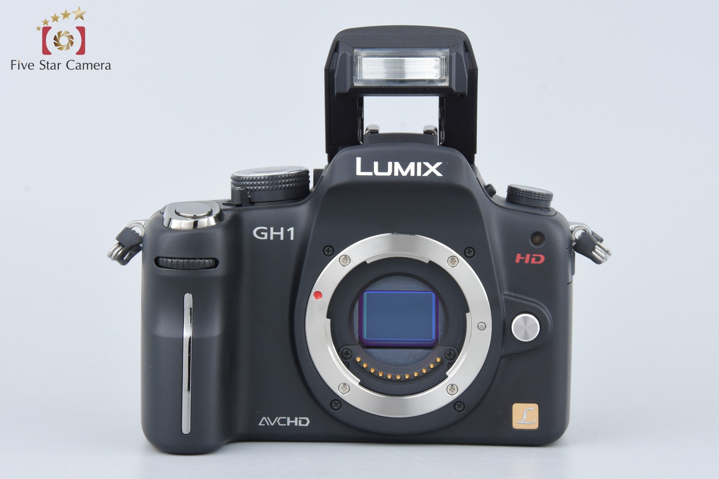Panasonic LUMIX DMC-GH1 Comfort Black Mirrorless Camera (Japanese Language Only)