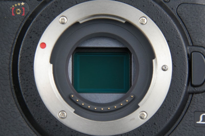 Panasonic LUMIX DMC-GH4 Black Mirrorless Camera (Japanese Language Only)