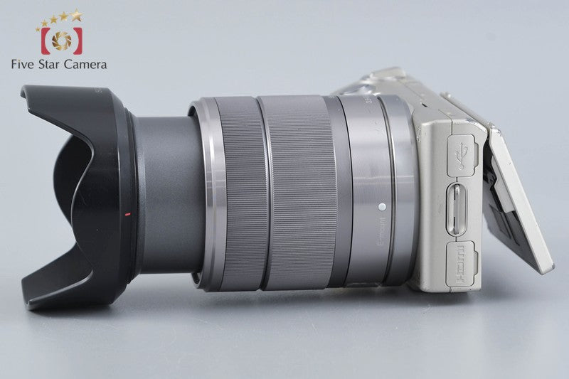 Sony α NEX-5 Gold + E 18-55mm f/3.5-5.6 OSS SEL1855 (Japanese Language Only)