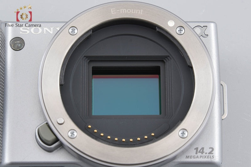 Sony α NEX-5 Zoom Lens Kit Silver (Japanese Language Only)