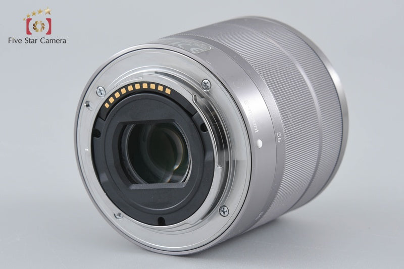 Sony α NEX-5 Zoom Lens Kit Silver (Japanese Language Only)