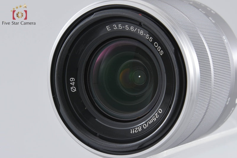 Sony α NEX-C3 Double Lens Kit Silver (Japanese Language Only)