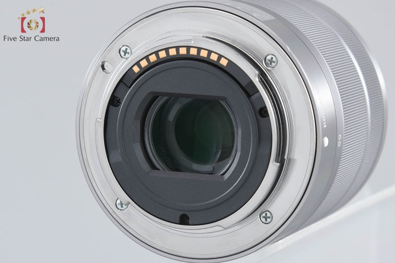 Sony α NEX-C3 Double Lens Kit Silver (Japanese Language Only)