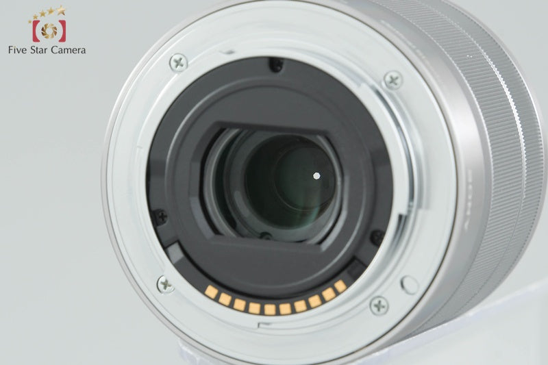 Sony α NEX-F3 Zoom Lens Kit Black (Japanese Language Only)