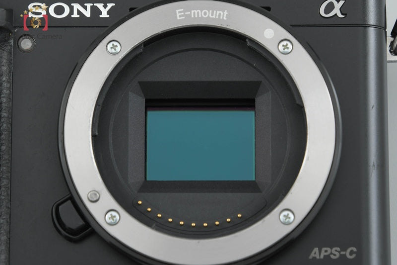 Sony α6000 ILCE-6000 Double Zoom Lens Kit Black (Japanese Language Only)