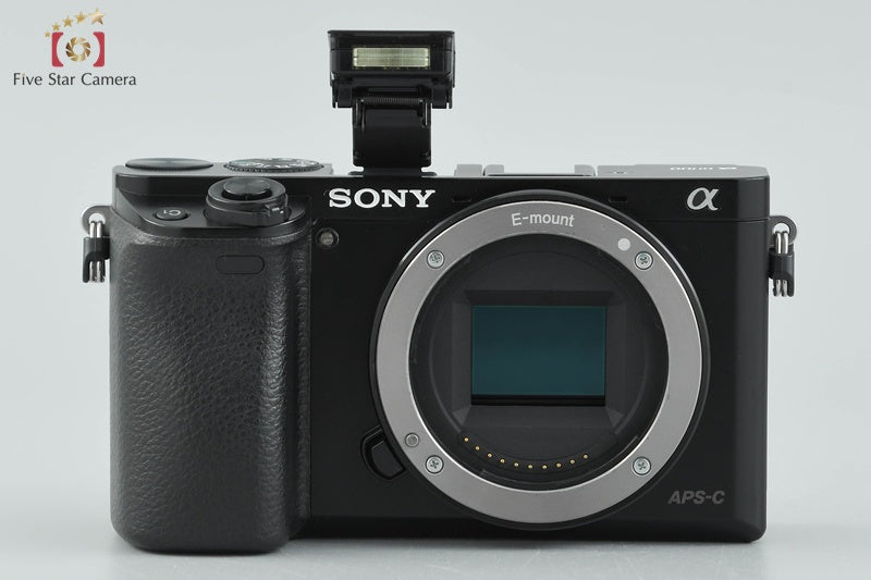 Sony α6000 ILCE-6000 Double Zoom Lens Kit Black (Japanese Language Only)