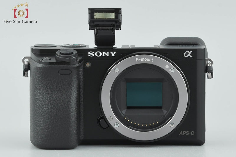 Sony Alpha α6000 ILCE-6000 Black 24.3 MP 16-50 55-210 (Japanese Language Only)