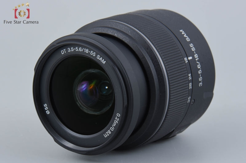 Sony α65 SLT-A65VK Zoom Lens Kit (Japanese Language Only)