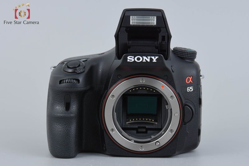 Sony α65 SLT-A65VK Zoom Lens Kit (Japanese Language Only)