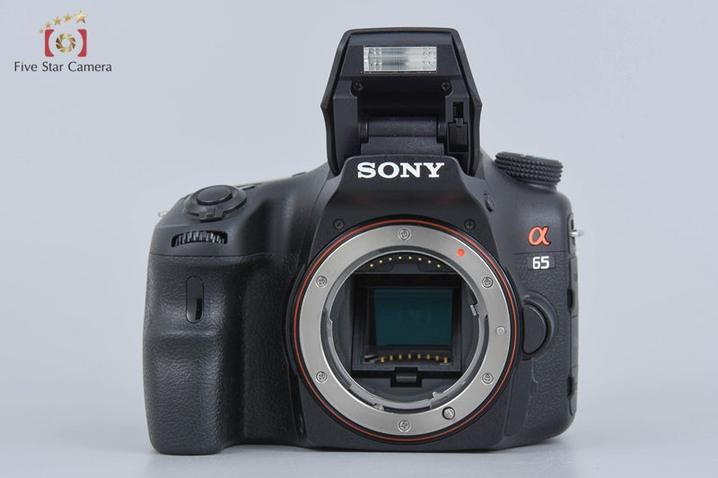 Sony α65 SLT-A65V + DT 16-105mm f/3.5-5.6 SAL16105 (Japanese Language Only)