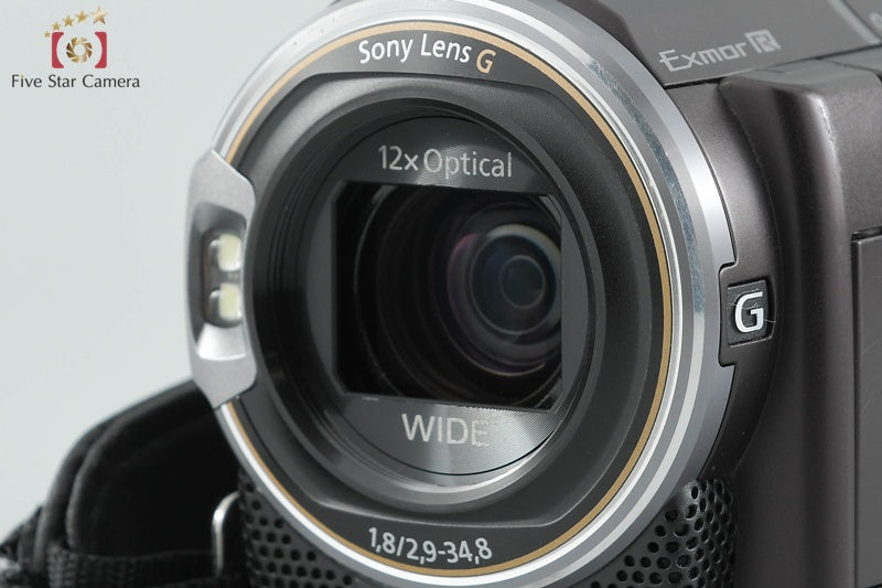 Sony Handycam HDR-CX590V Digital Video Camera (Japanese Language Only)