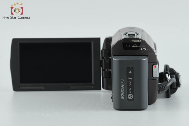 Sony Handycam HDR-CX590V Digital Video Camera (Japanese Language Only)