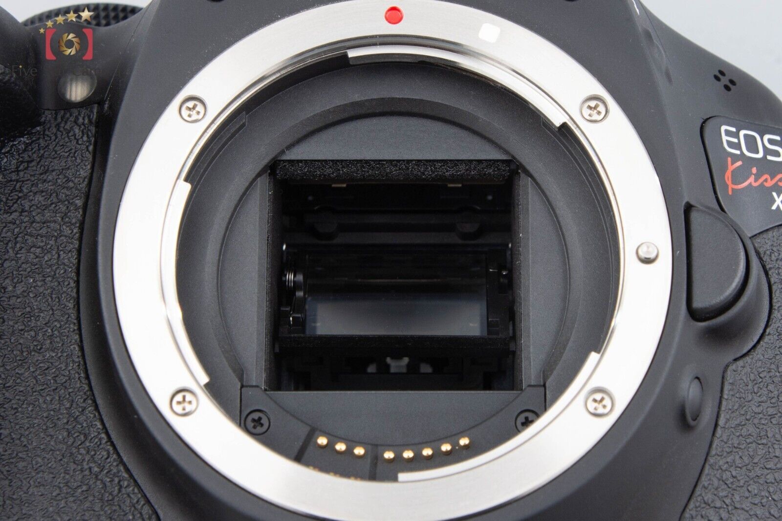 "Count 916" Canon EOS Kiss X5 / Rebel T3i / 600D 18.0MP DSLR 18-55 55-250 Lenses